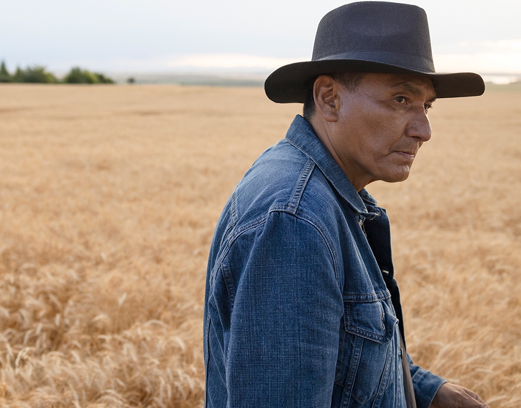 Person wearing a hat and denim jacket standing in a wheat field.